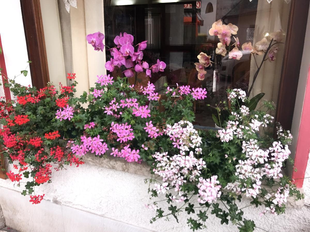 Hotel Alle Alpi Alleghe Luaran gambar